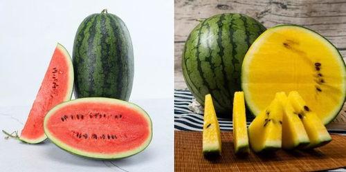 免费vx吃瓜群  第2张